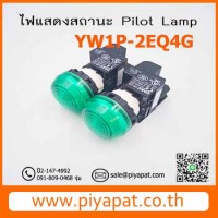 YW1P - 2EQ4G รูปโชว์